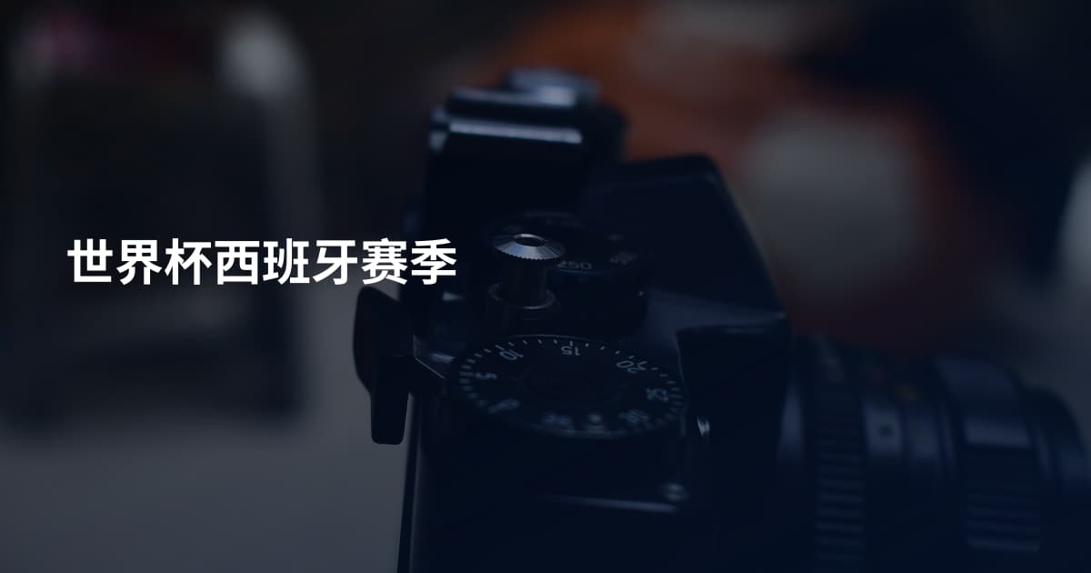 世界杯西班牙赛季