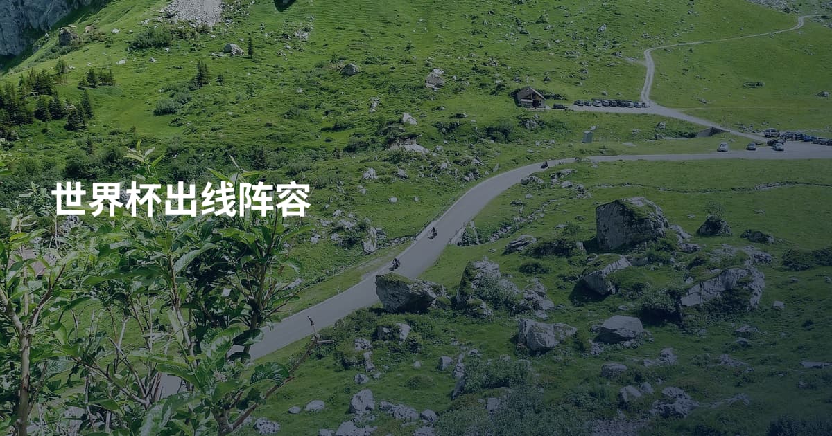 世界杯出线阵容