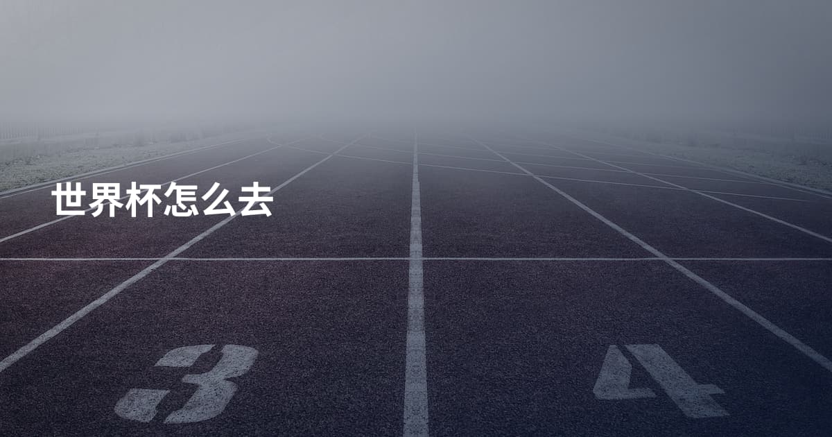 世界杯怎么去