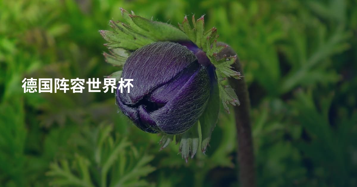德国阵容世界杯