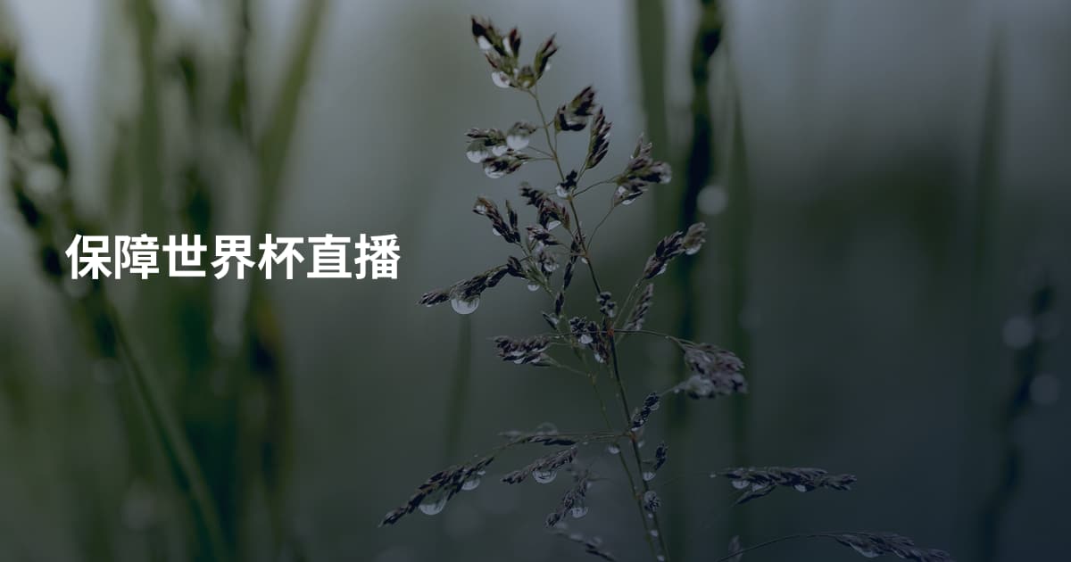 保障世界杯直播