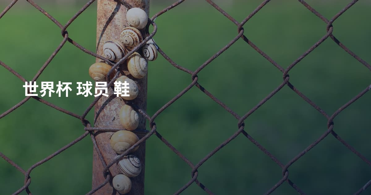 世界杯 球员 鞋