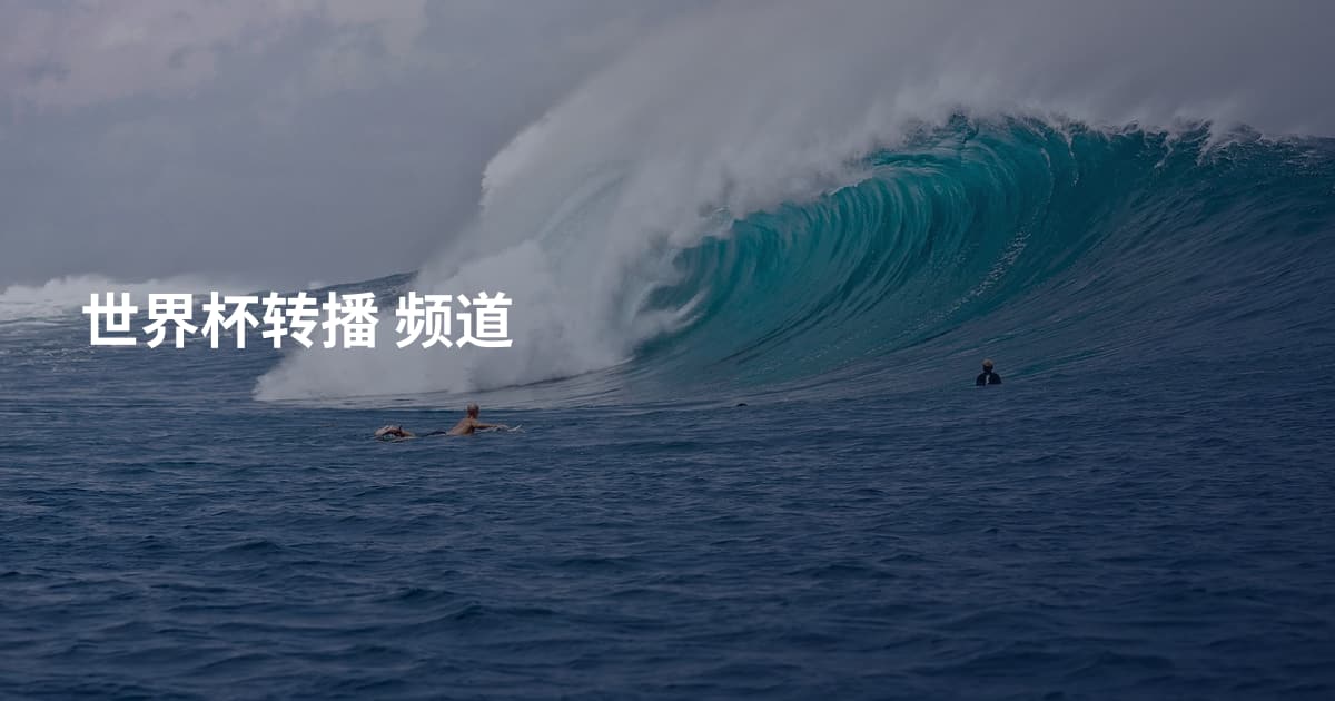 世界杯转播 频道