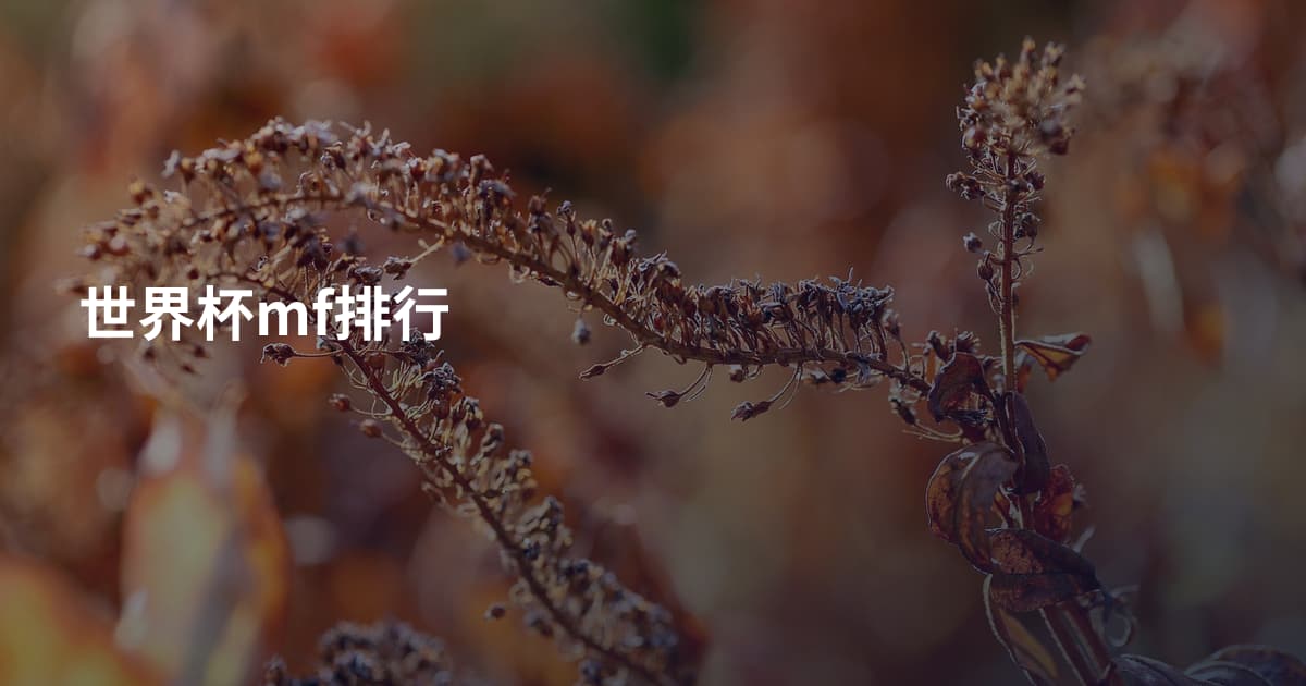世界杯mf排行