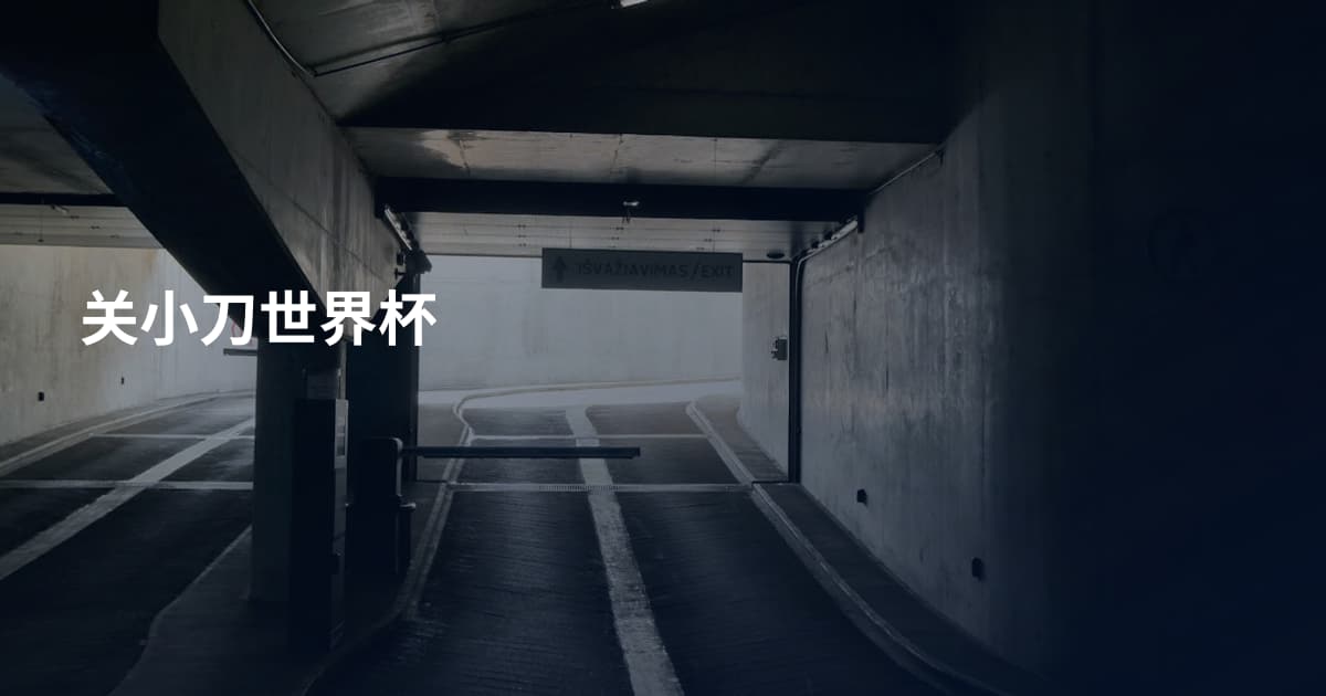 关小刀世界杯
