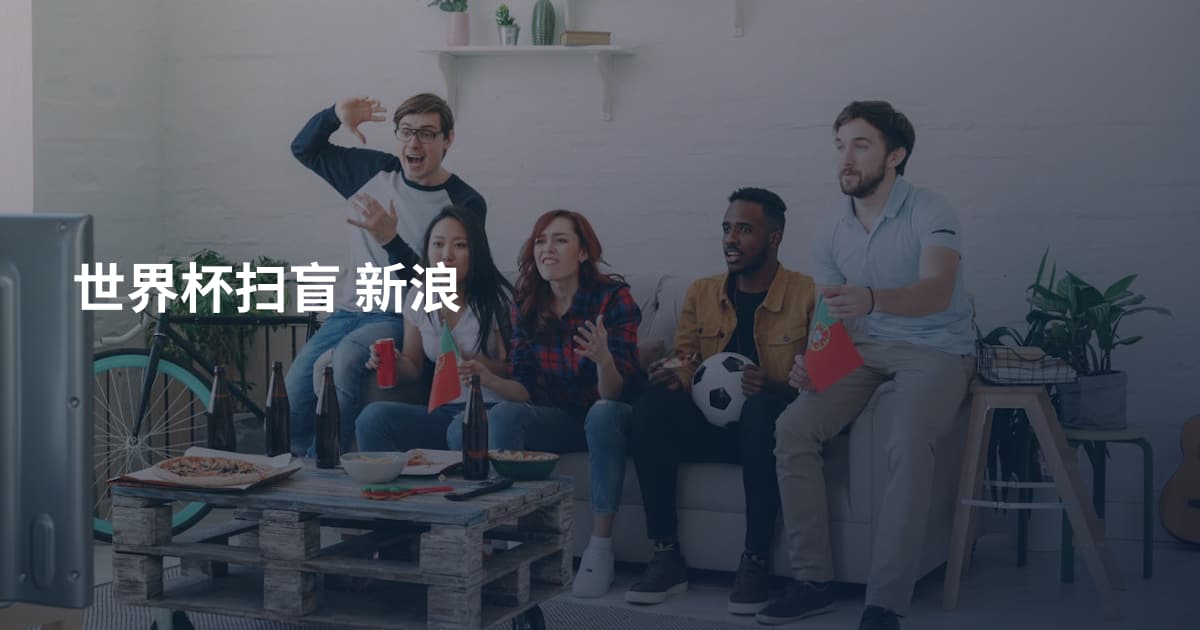 世界杯扫盲 新浪