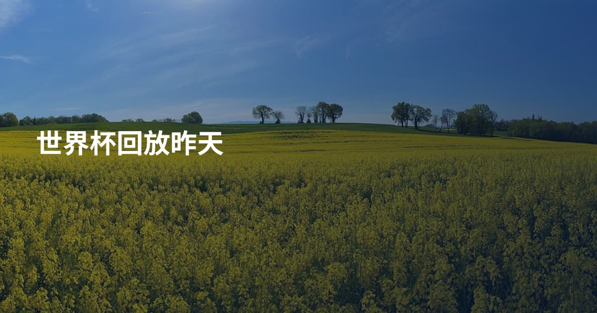 世界杯回放昨天