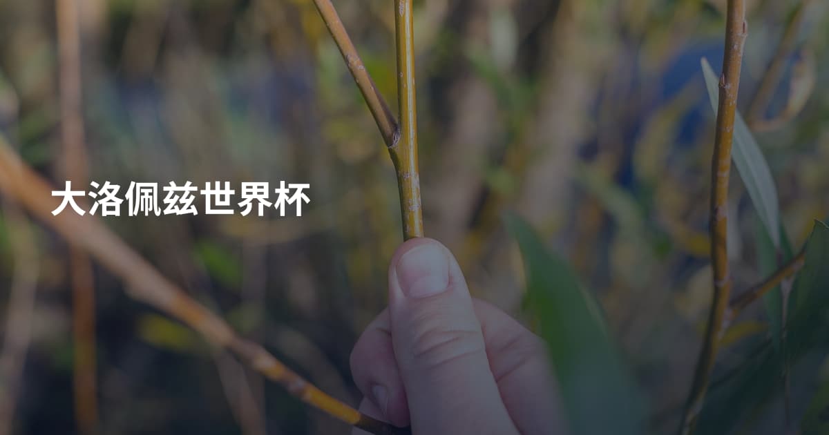 大洛佩兹世界杯