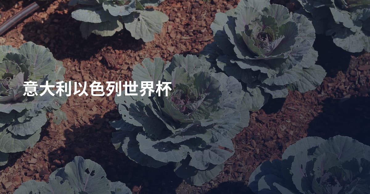 意大利以色列世界杯