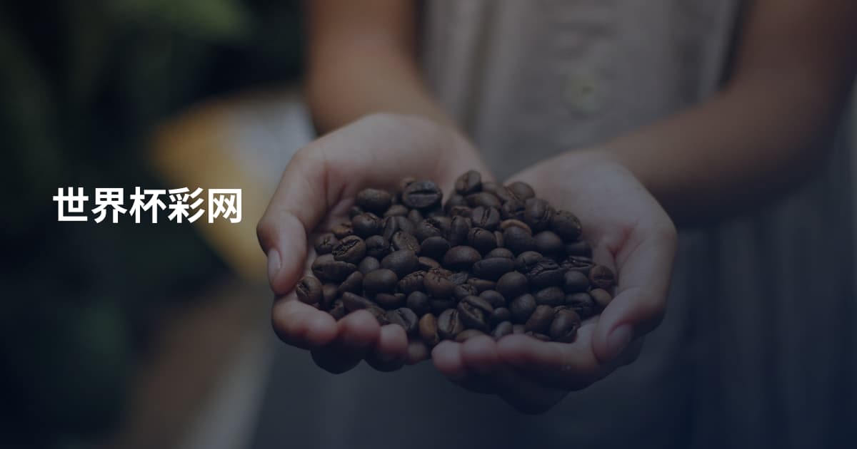 世界杯彩网