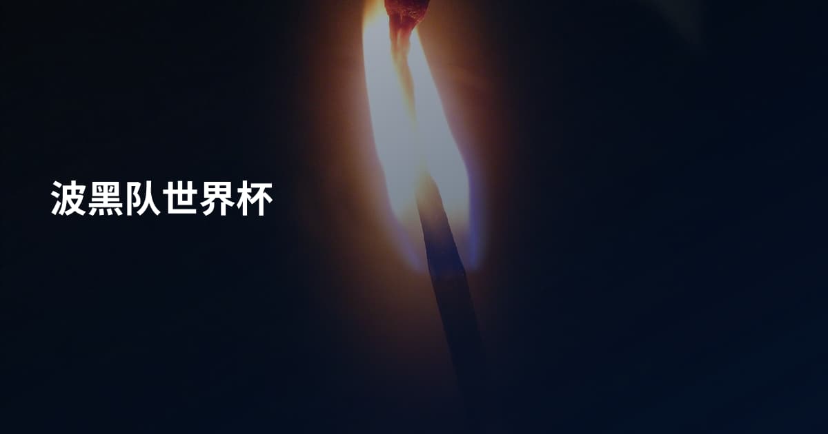 波黑队世界杯