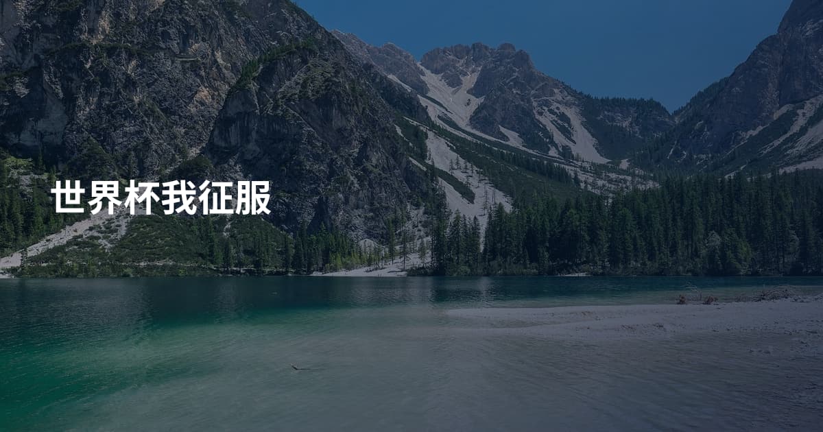 世界杯我征服