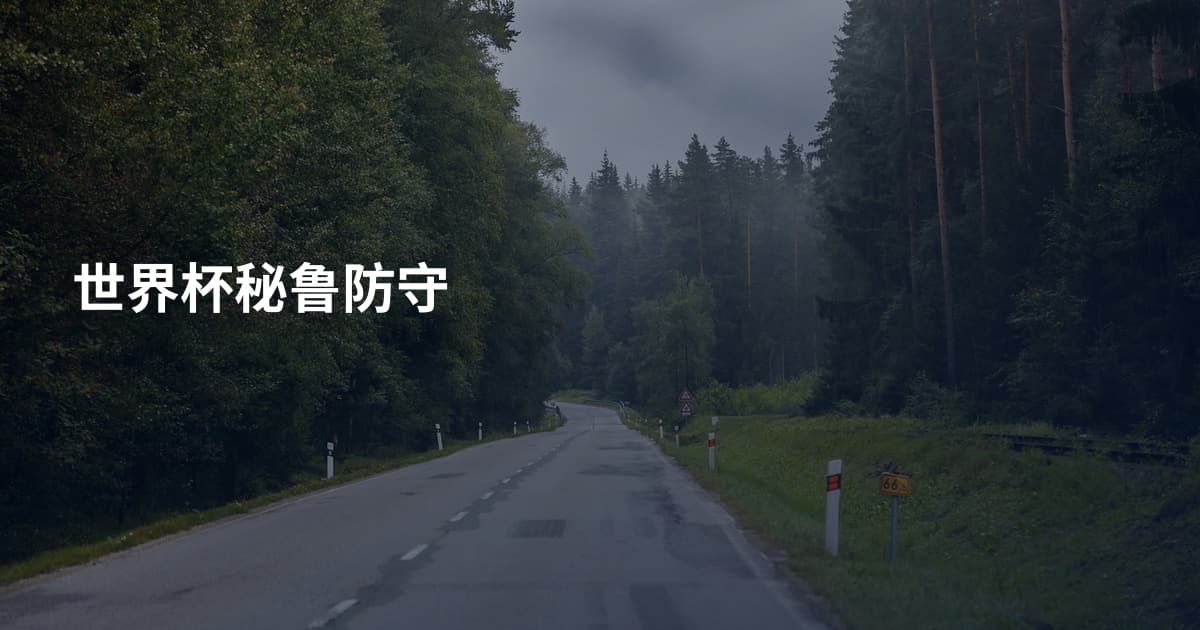 世界杯秘鲁防守