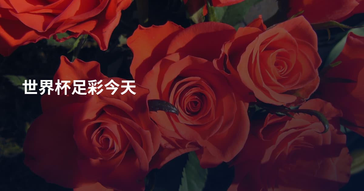 世界杯足彩今天