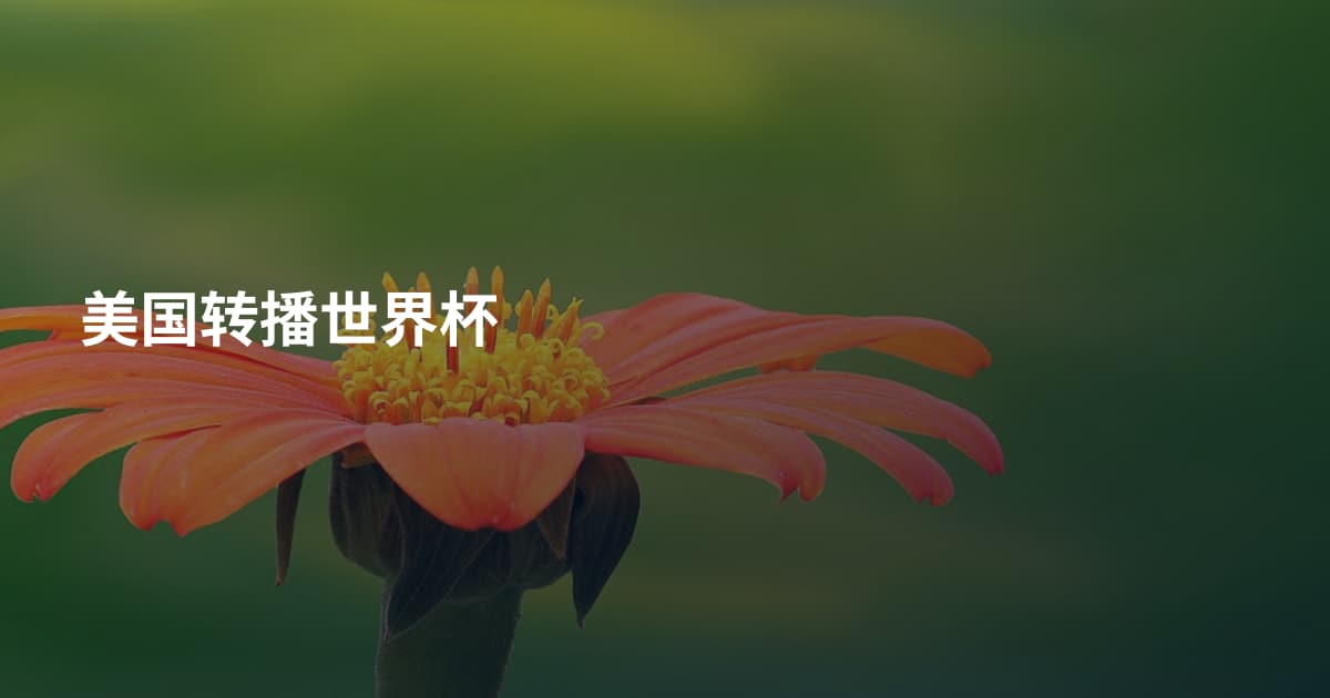 美国转播世界杯