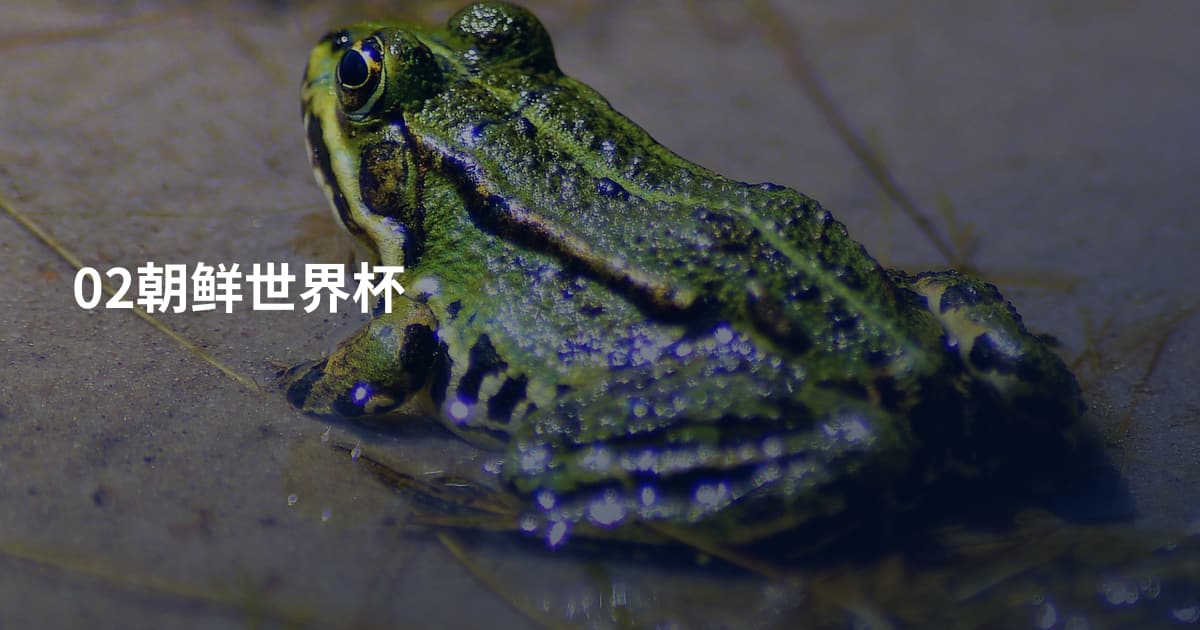 02朝鲜世界杯