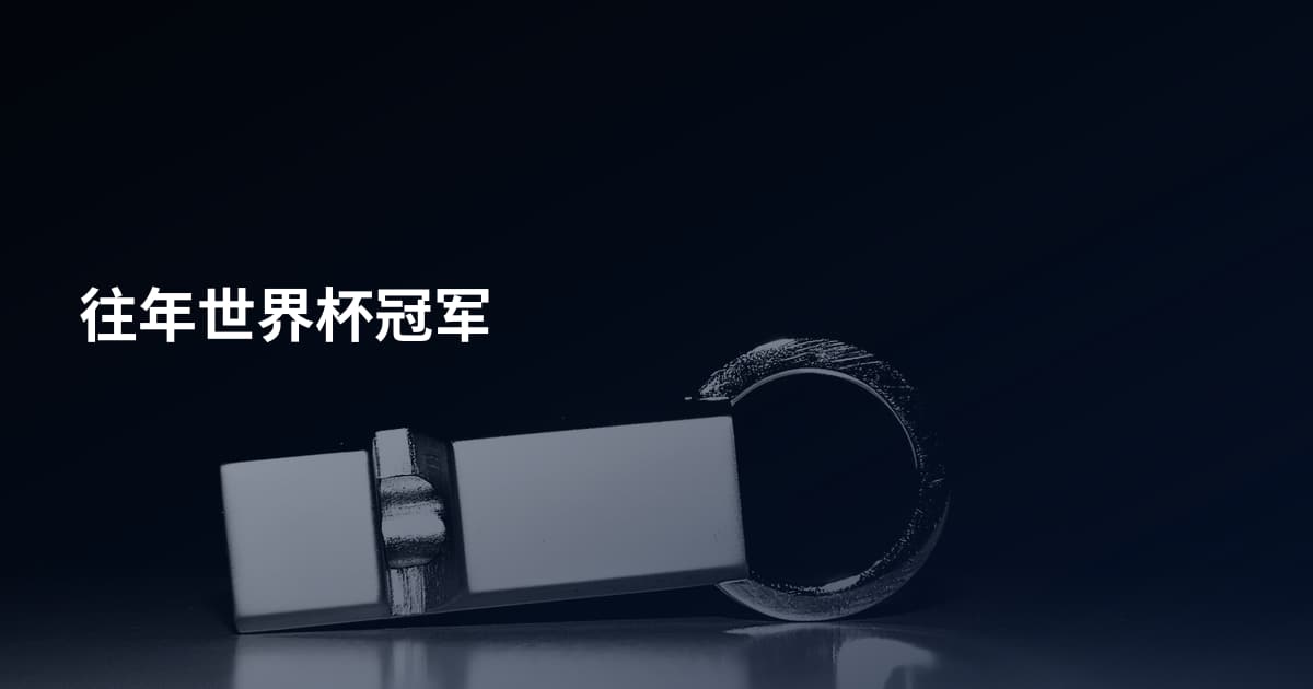 往年世界杯冠军