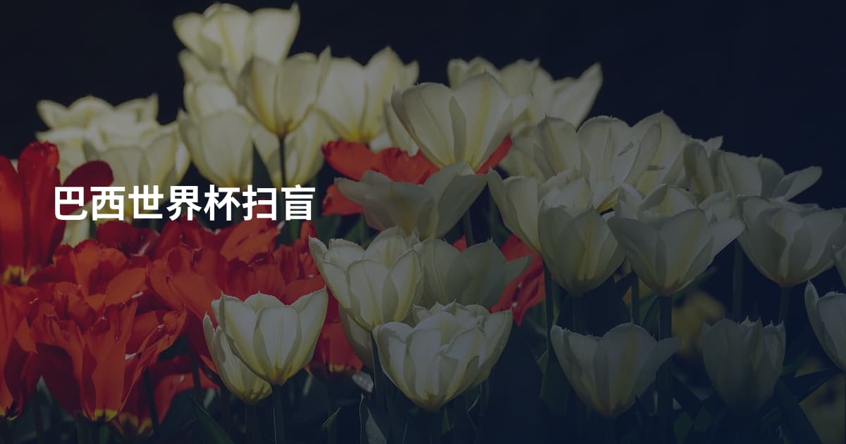 巴西世界杯扫盲