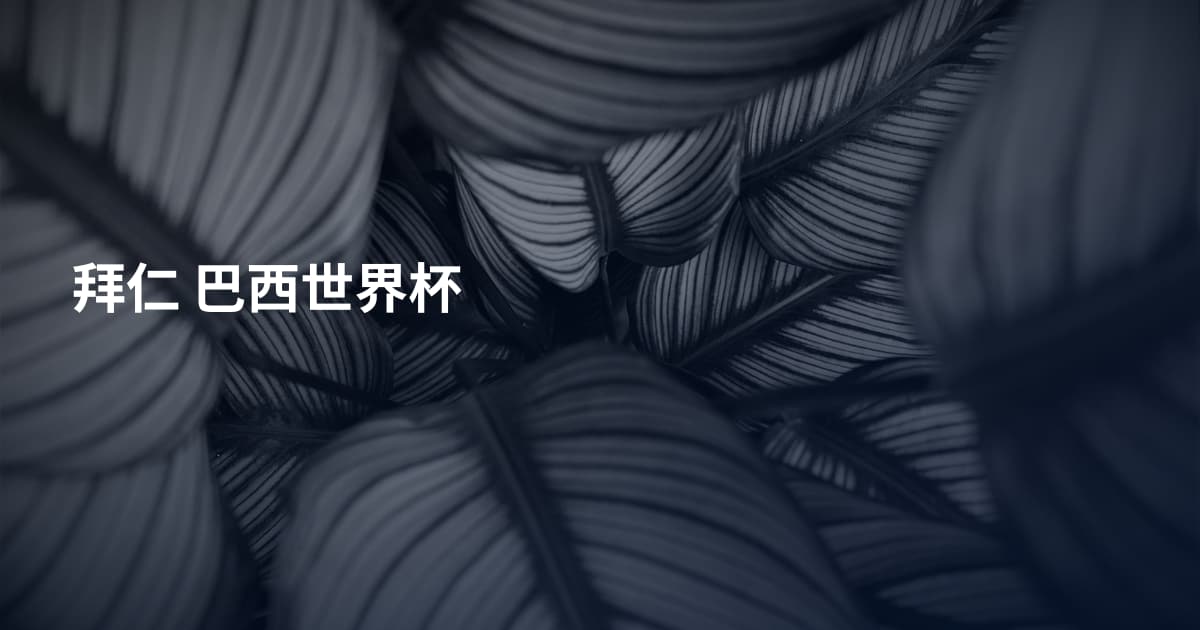 拜仁 巴西世界杯