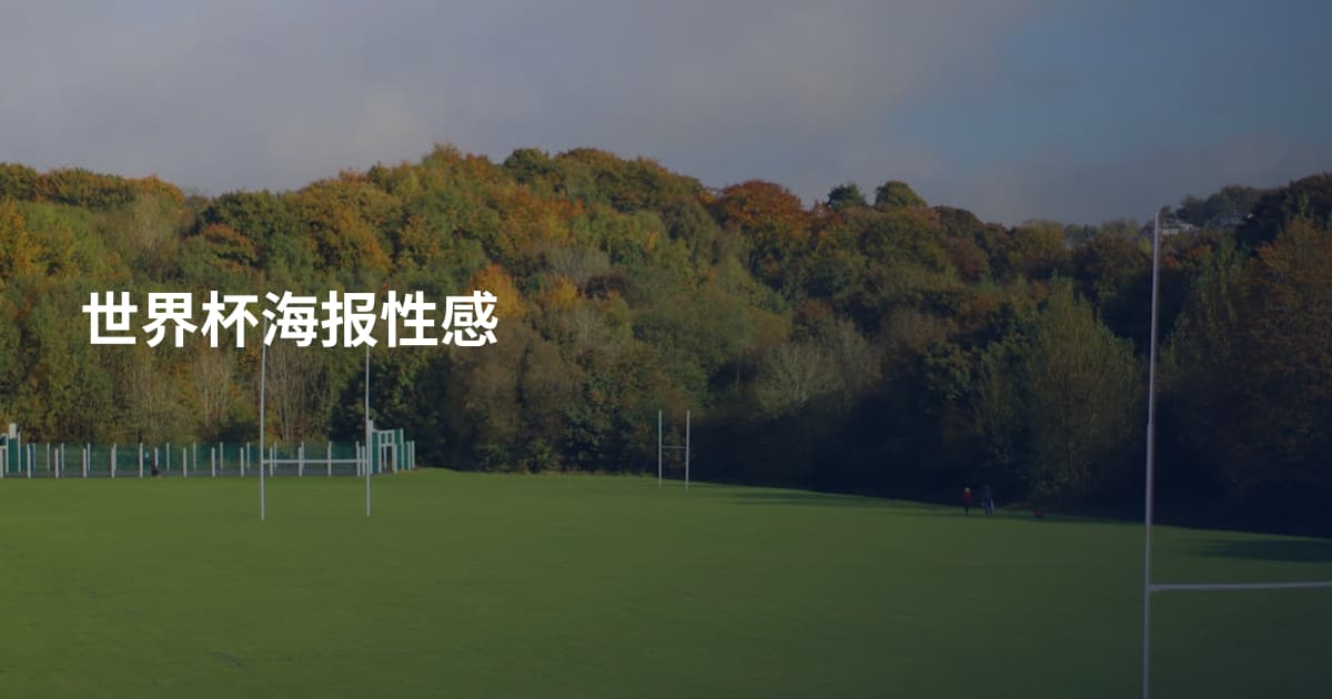 世界杯海报性感