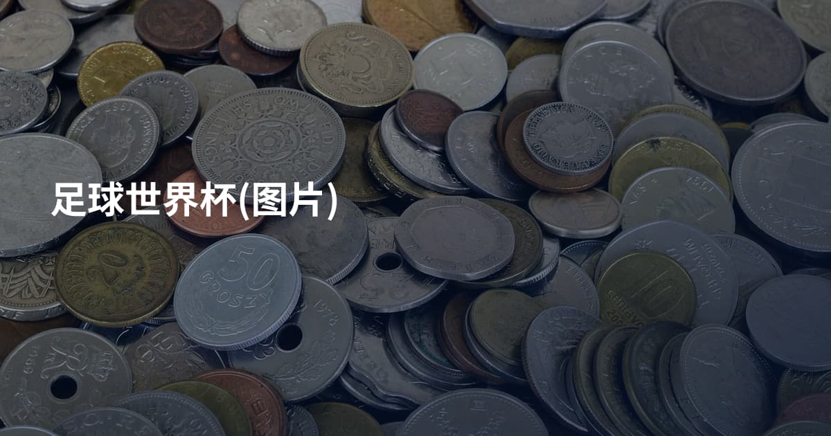 足球世界杯(图片)
