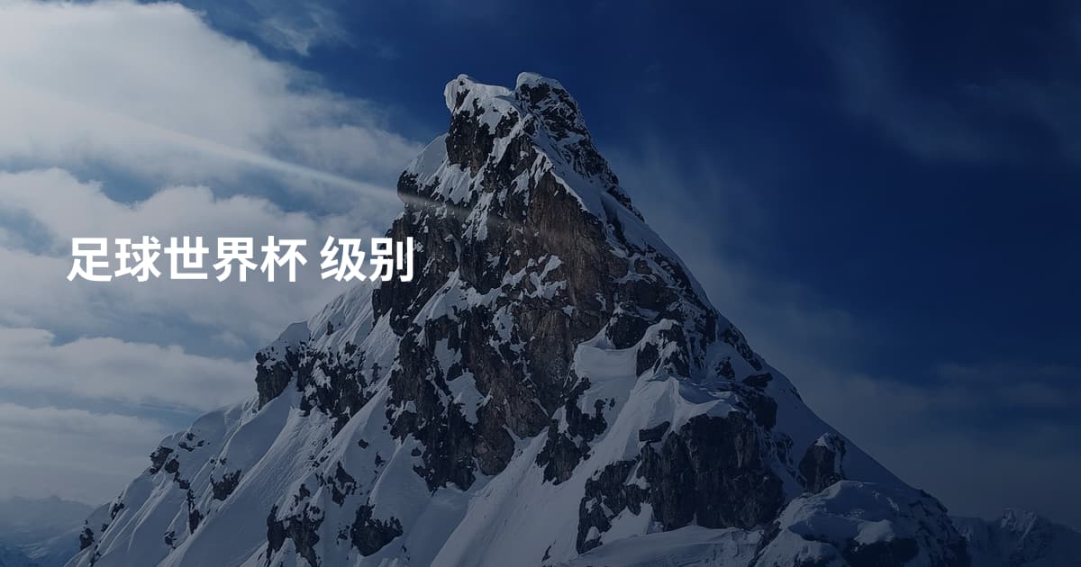 足球世界杯 级别