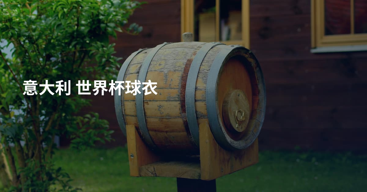意大利 世界杯球衣