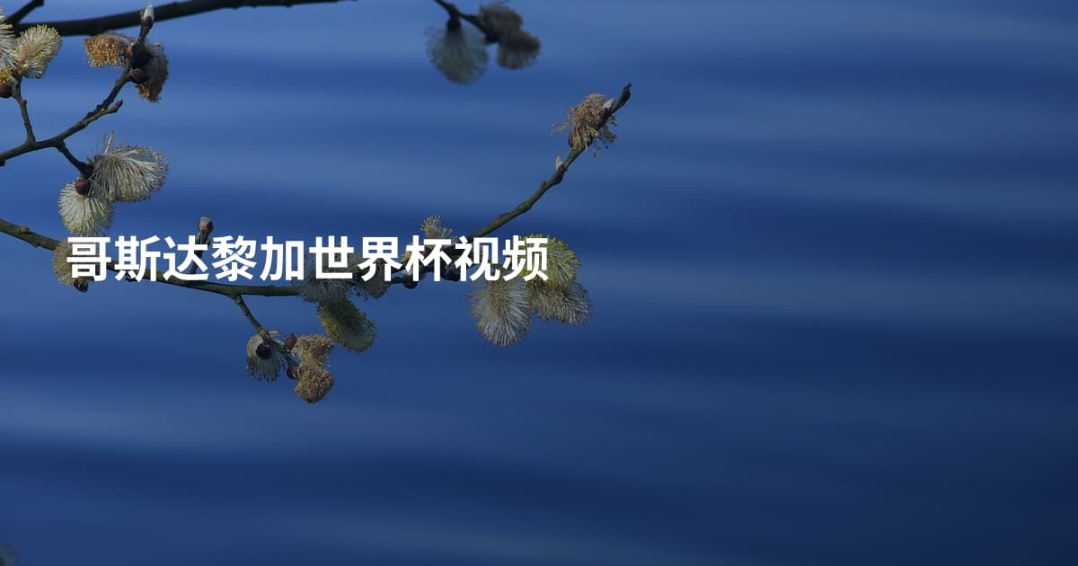 哥斯达黎加世界杯视频