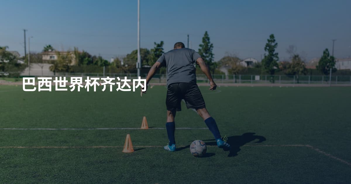 巴西世界杯齐达内