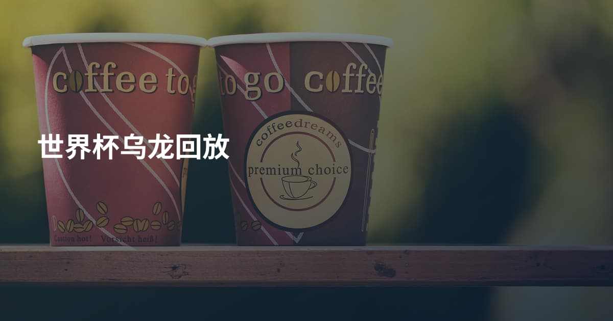 世界杯乌龙回放