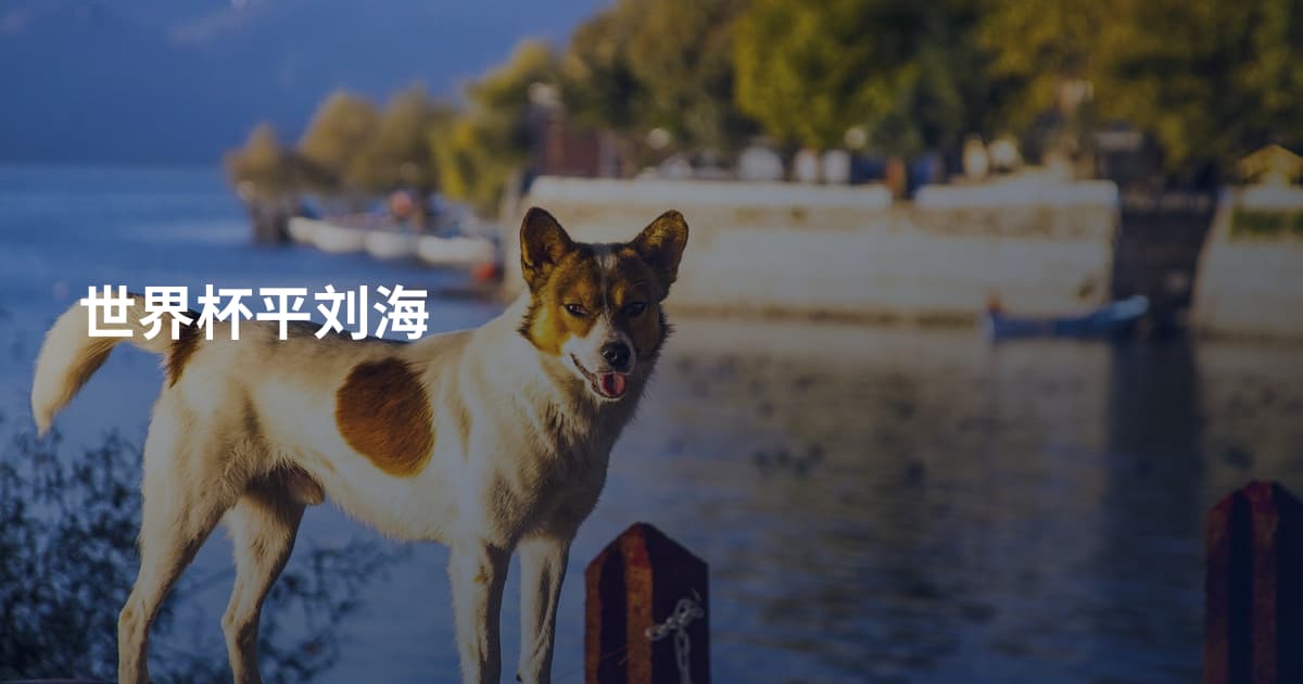 世界杯平刘海