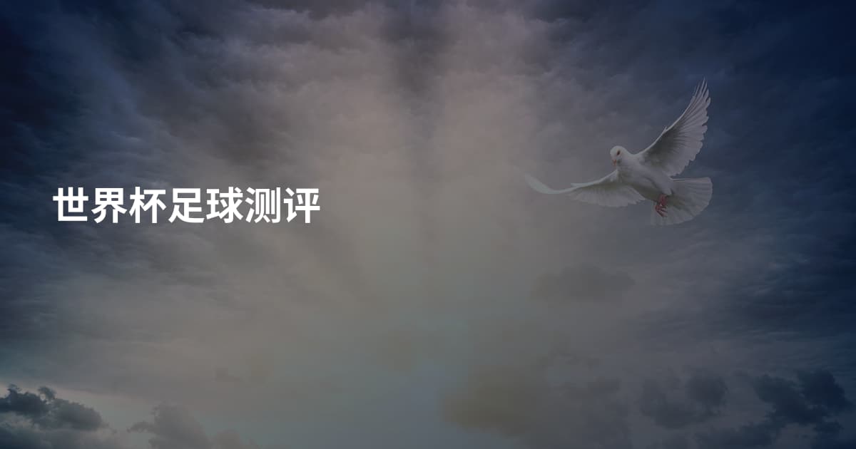 世界杯足球测评