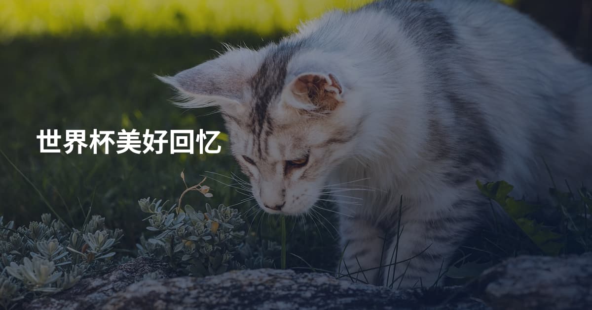 世界杯美好回忆