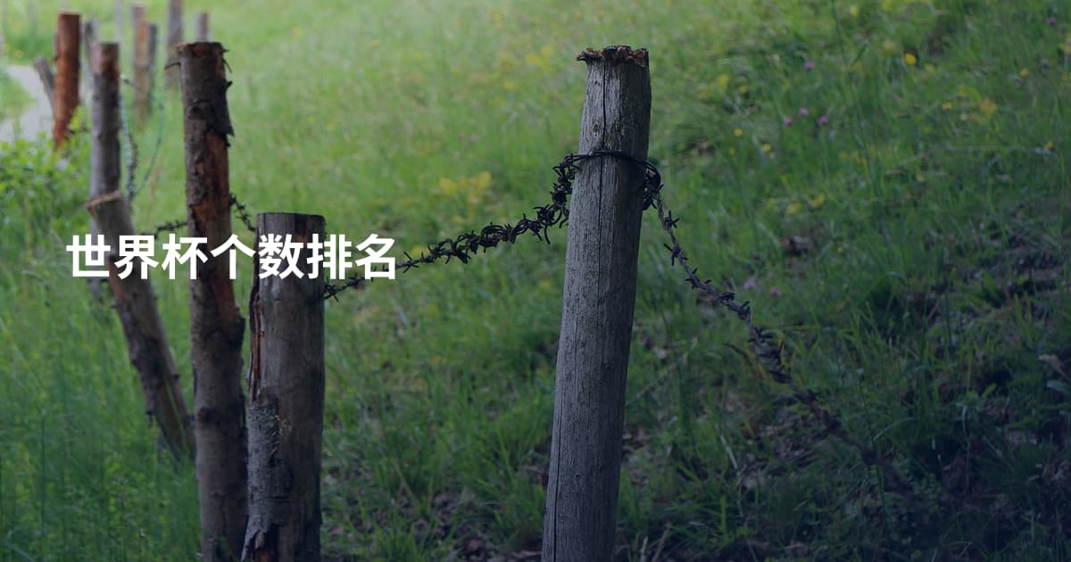 世界杯个数排名