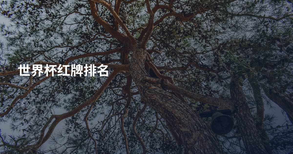 世界杯红牌排名