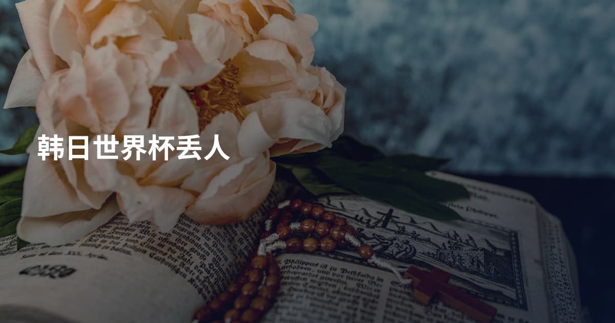 韩日世界杯丢人