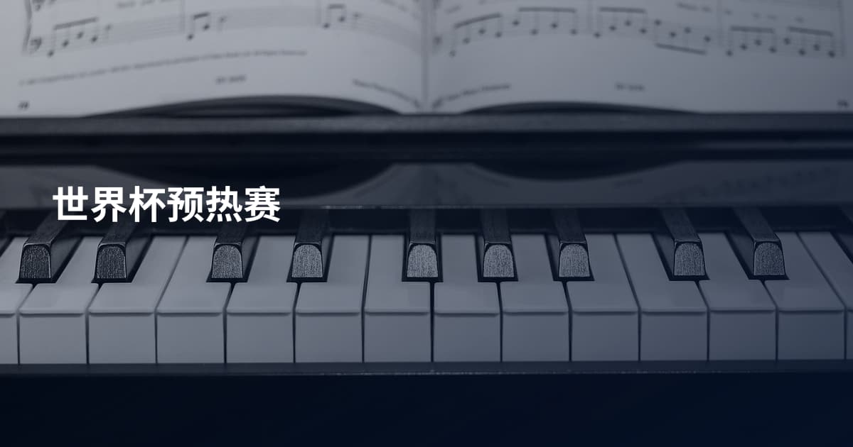 世界杯预热赛