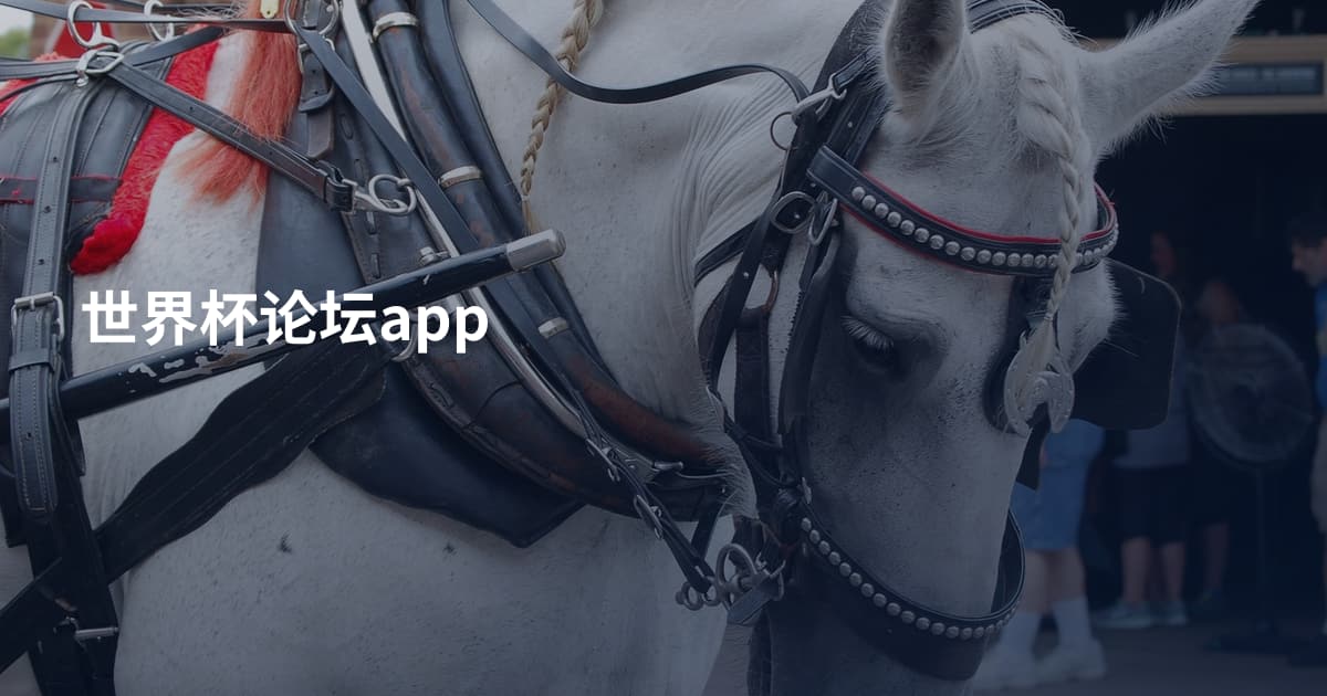 世界杯论坛app