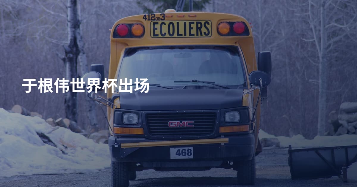 于根伟世界杯出场