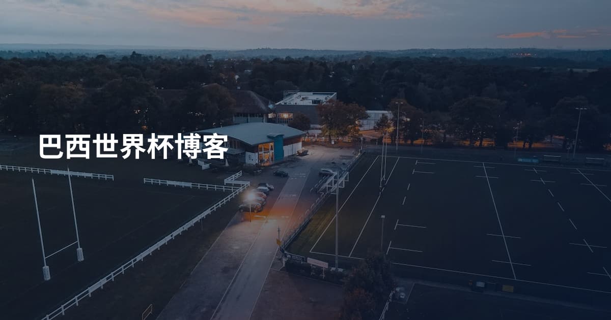 巴西世界杯博客