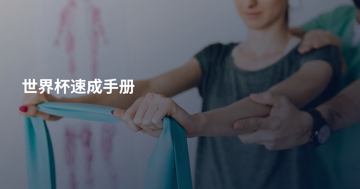 世界杯速成手册