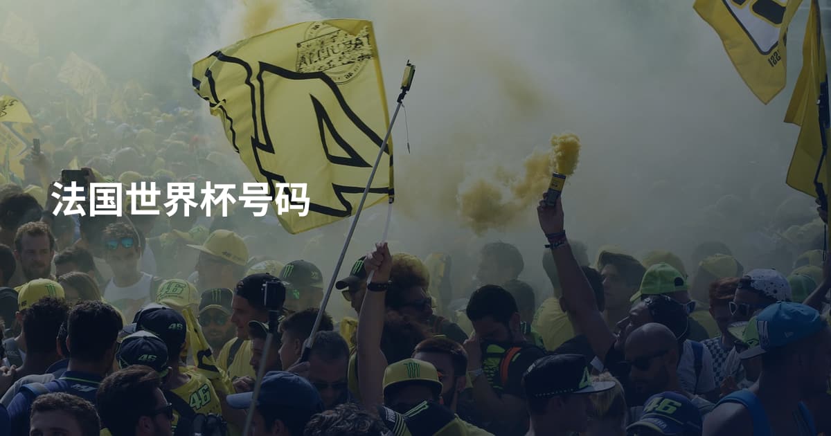 法国世界杯号码