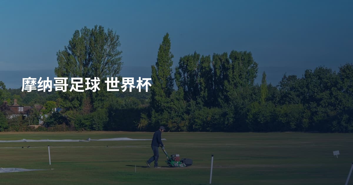 摩纳哥足球 世界杯