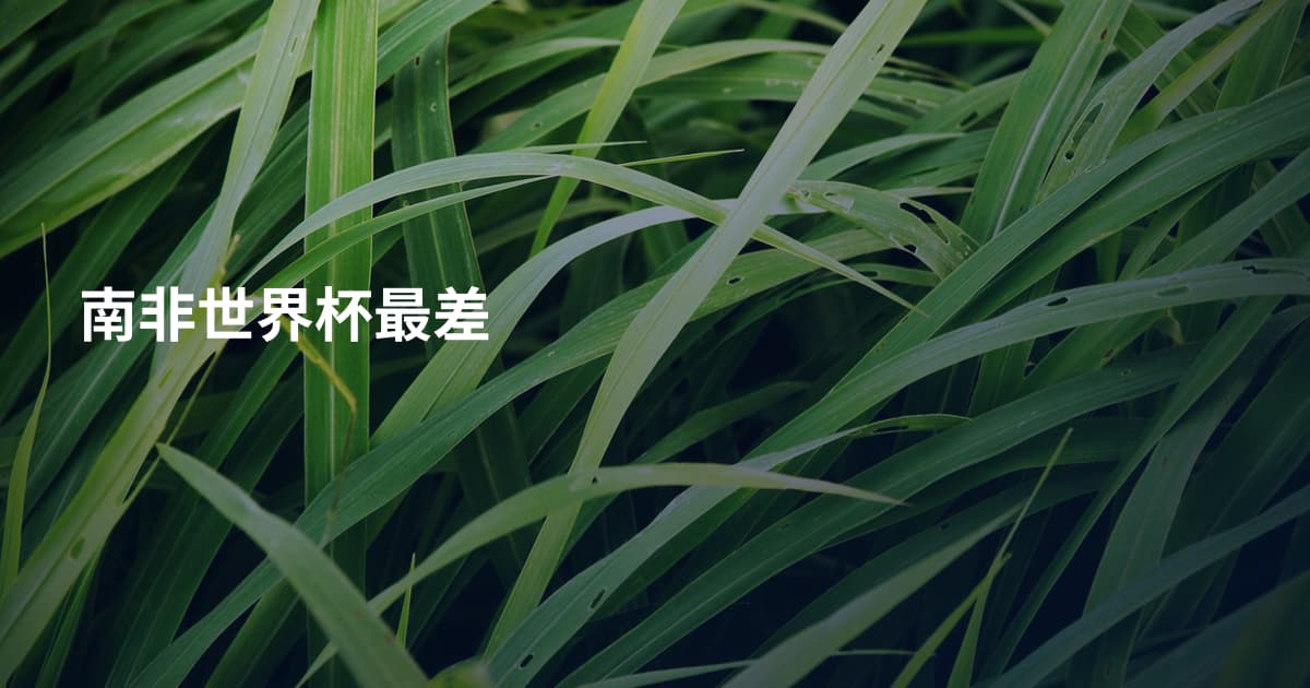 南非世界杯最差