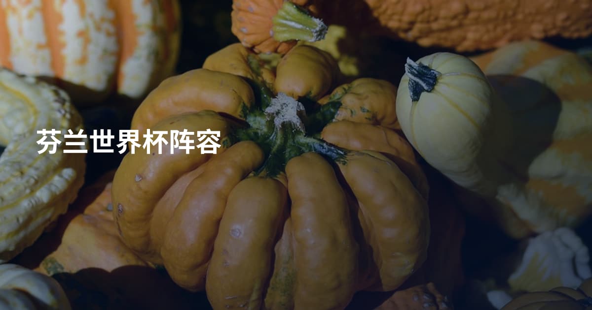 芬兰世界杯阵容
