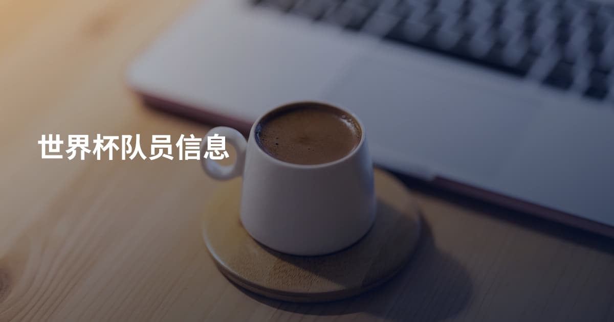 世界杯队员信息