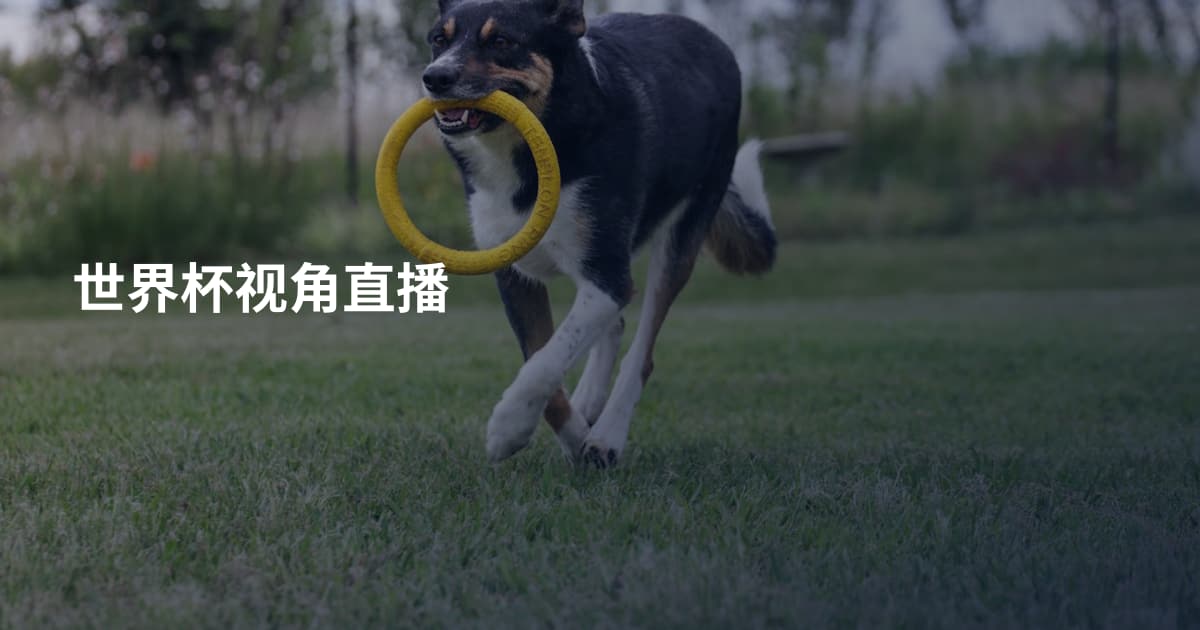 世界杯视角直播