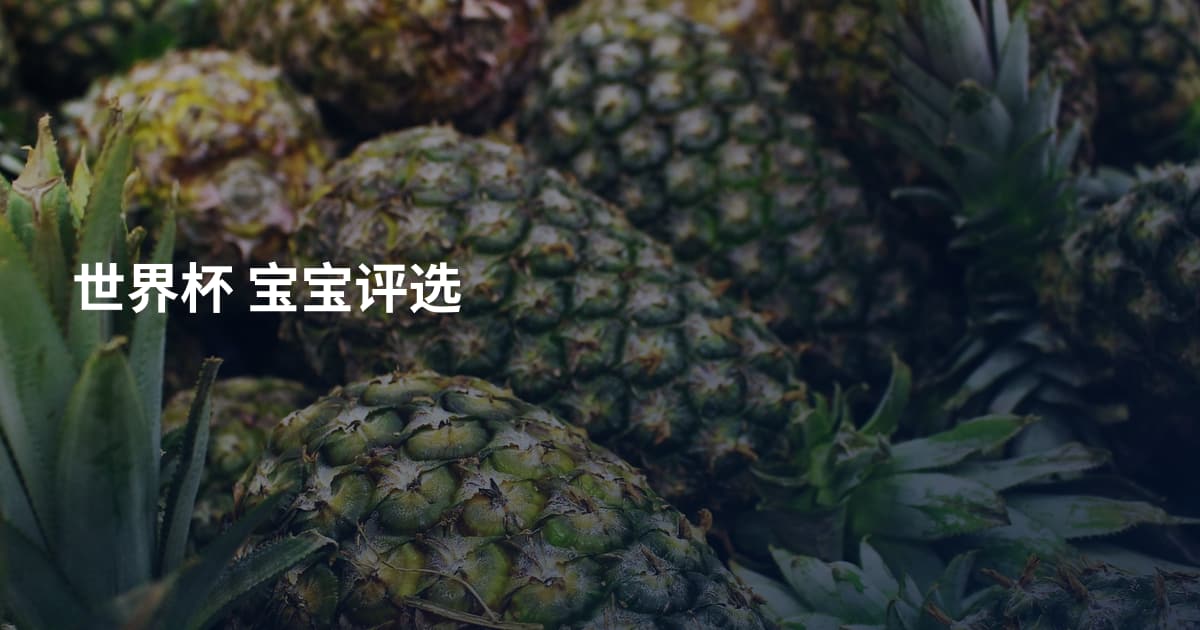 世界杯 宝宝评选