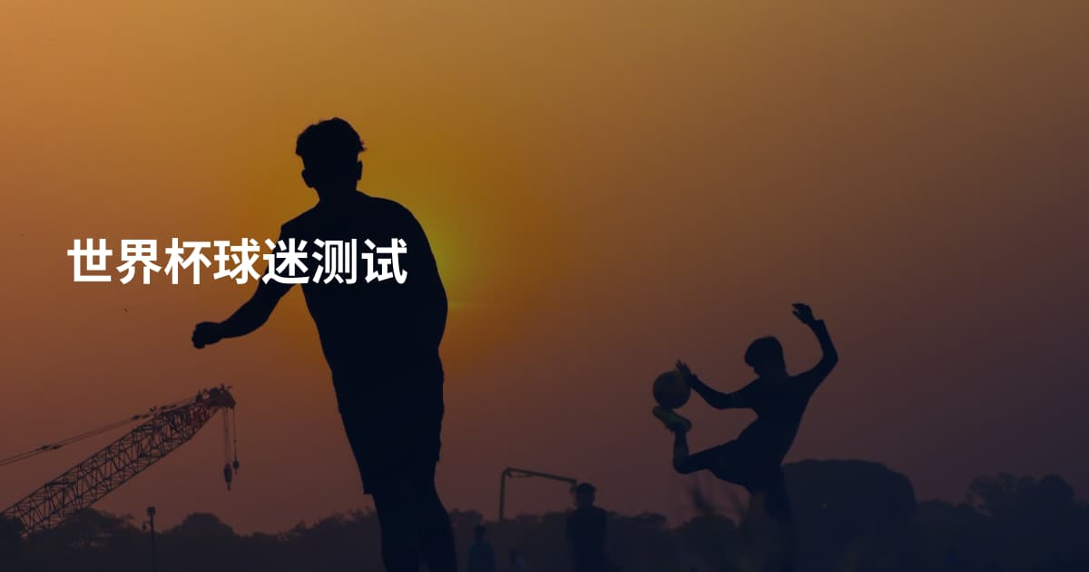 世界杯球迷测试