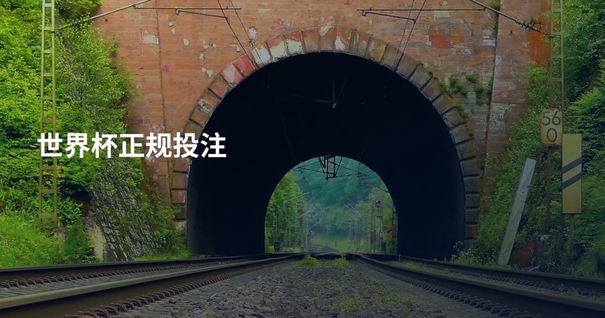 世界杯正规投注